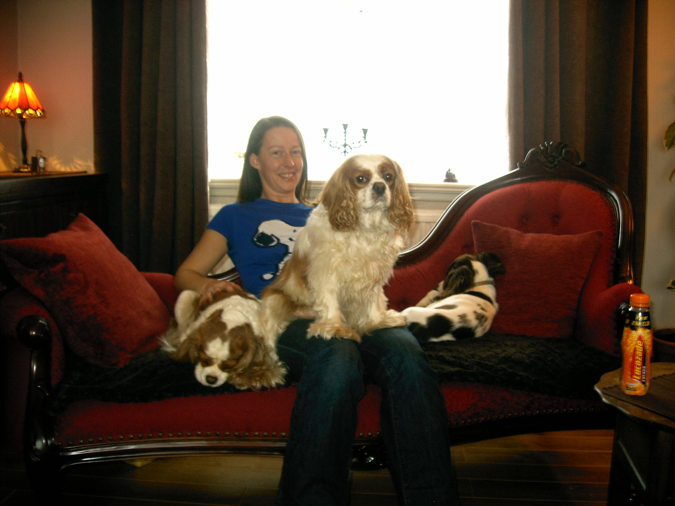 Laura is a member of the National Association of Registered Petsitters